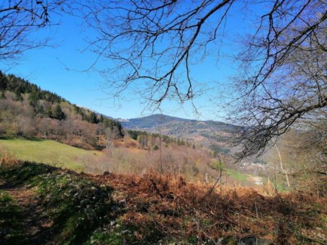 Les Locations De Stephanie Les Hautes Vosges Sondernach Exterior foto